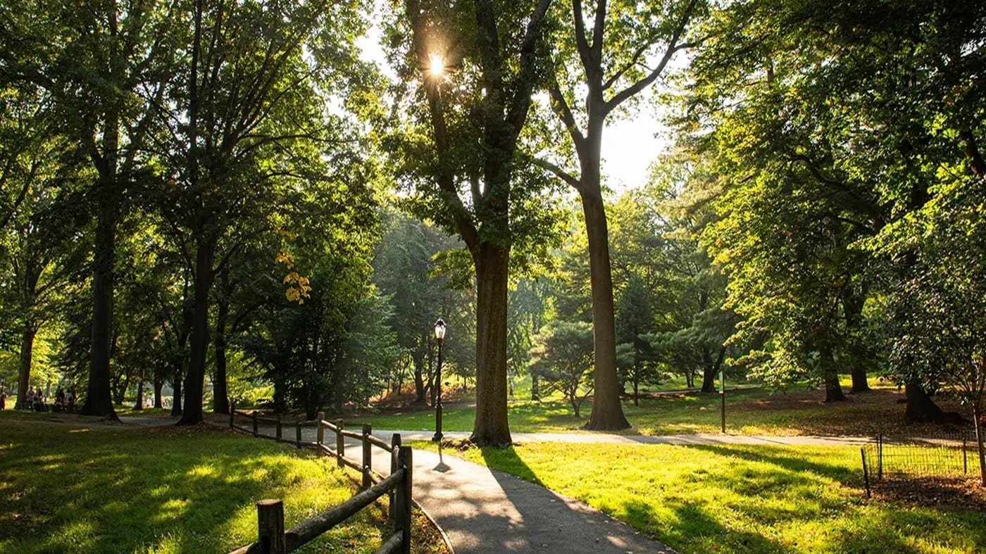 Godrej Vrikshya Sector 103, Gurgaon 9